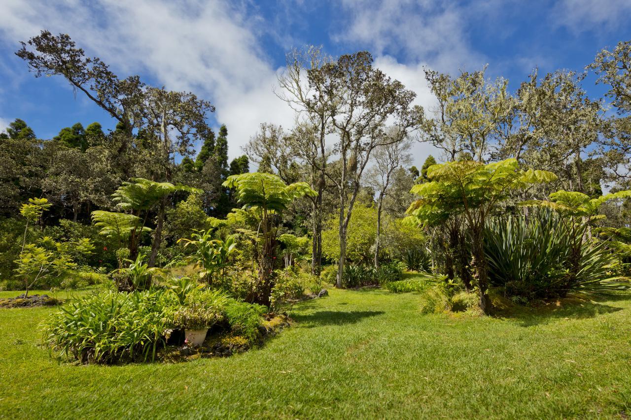 Hale 'Ohu Bed&Breakfast Volcano Exterior foto