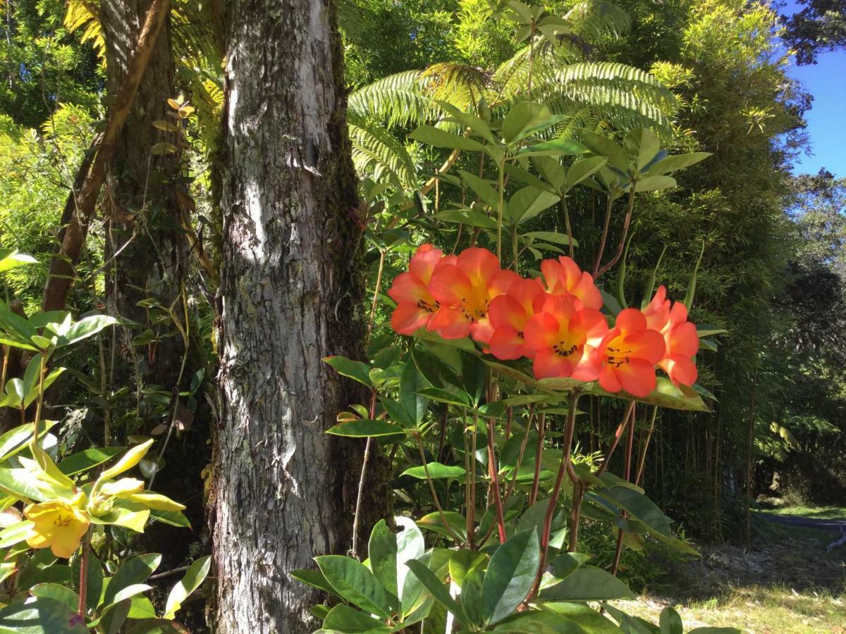 Hale 'Ohu Bed&Breakfast Volcano Exterior foto